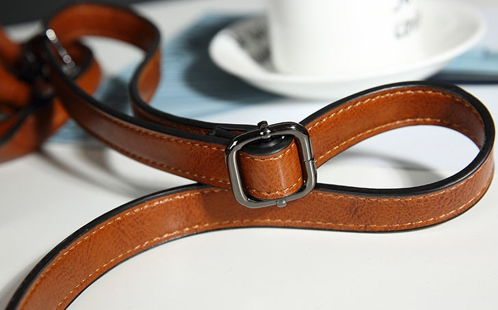 Brown leather strap with a silver buckle on a light background